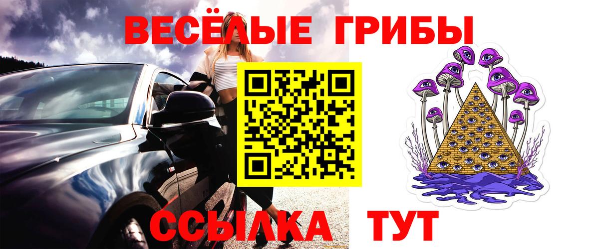 Псилоцибиновые грибы GOLDEN TEACHER Торжок