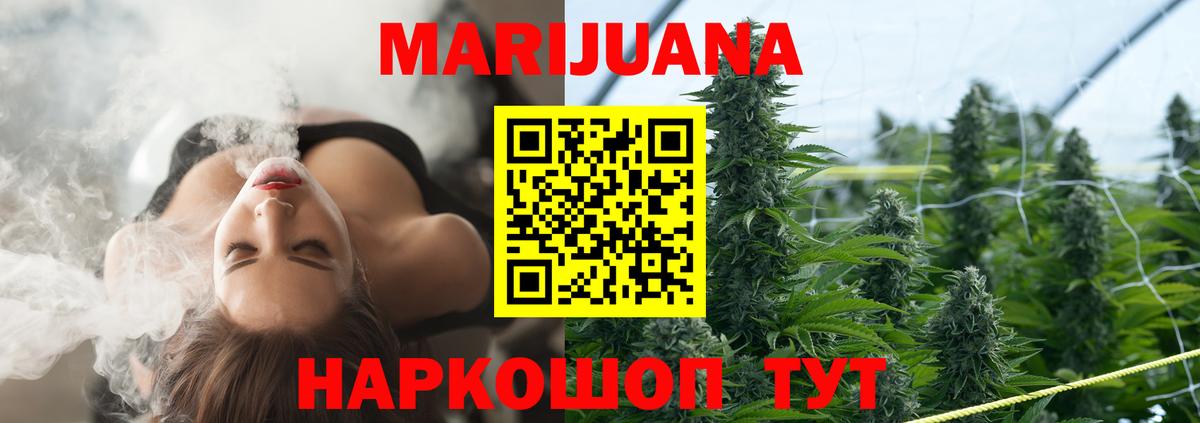 Бошки Шишки сатива Торжок